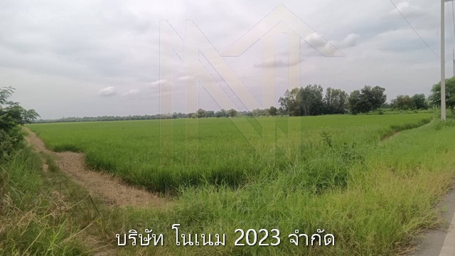 ขายที่ดิน เจ้าของขายเอง ติดถนนบายพาสรอบแรก ตำบลโพธิ์ชัย อำเภอเมือง จังหวัดหนองคาย