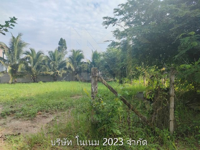 ขายทำเลดี ใกล้แหล่งชุมชน ใกล้แหล่งชุมชน ตำบลกำแพงเพชร อำเภอรัตภูมิ จังหวัดสงขลา 