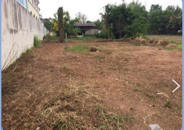 ขายที่ดินเปล่า  เจ้าของขายเอง ตำบลหนองกอมเกาะ อำเภอเมืองหนองคาย หนองคาย 