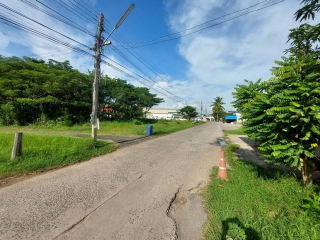 ขายที่ดินเปล่า ในตัวเมืองบุรีรัมย์ สามารถทักมาสอบถามรายละเอียดเพิ่มเติมกับเจ้าของโดยตรงได้ จังหวัดบุรีรัมย์