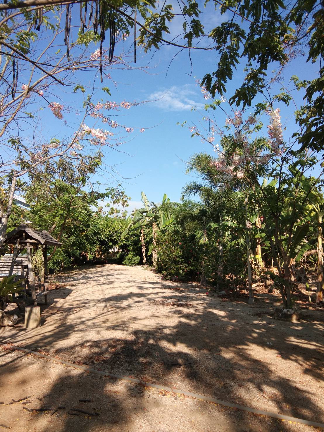 ขายบ้านพร้อมที่ดิน 3 ไร่ เจ้าของขายเอง ตำบลหนองจอก อำเภอท่ายาง จังหวัดเพชรบุรี