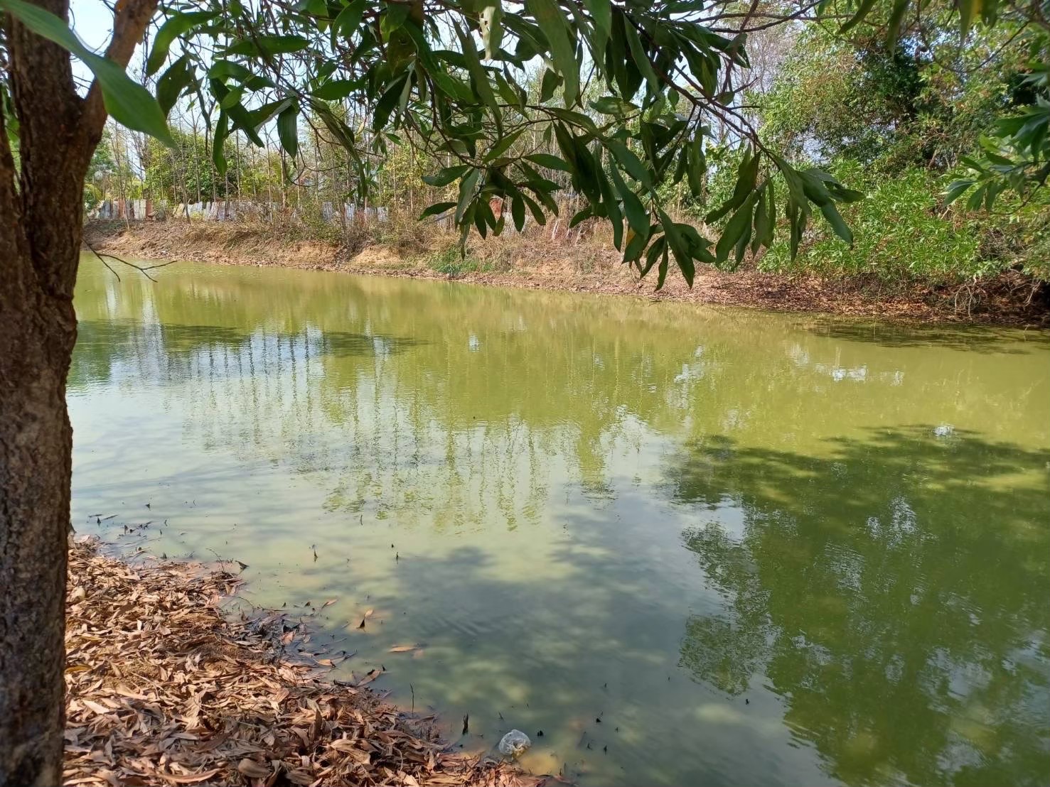 ขายที่ดิน 23 ไร่  เจ้าของขายเอง  บ้านโนนสา จ.อุดรธานี
