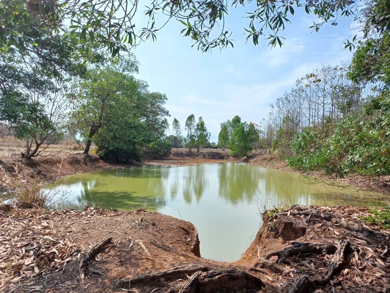 ขายที่ดิน 23 ไร่  เจ้าของขายเอง  บ้านโนนสา จ.อุดรธานี