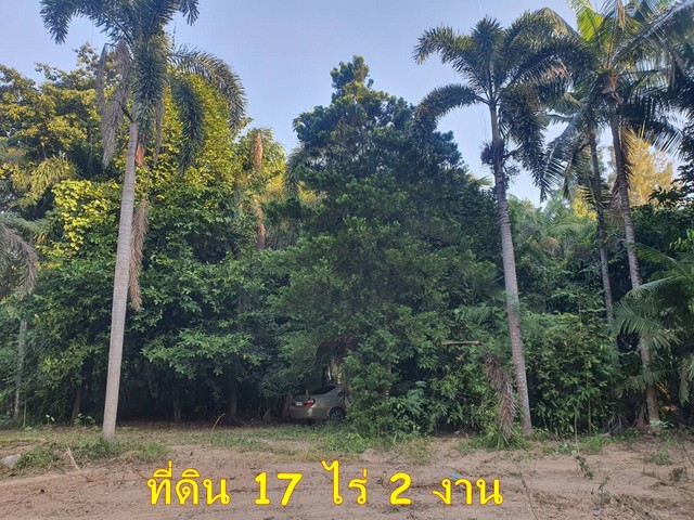 ขายที่ดิน 17 ไร่ 2 งาน เจ้าของขายเอง  ตำบลสวนผึ้ง อำเภอสวนผึ้ง จังหวัดราชบุรี