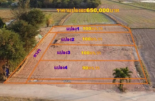 ขายที่ดินทำเลดี 100 ตารางวา มีเพื่อนบ้าน วิวสวย บรรยากาศดี