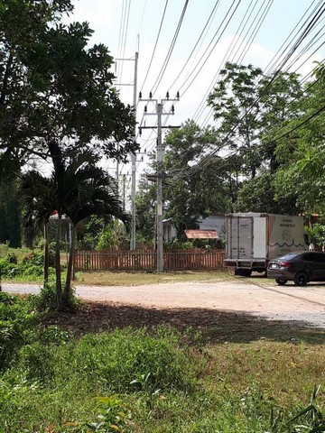 ขายที่ดินเหมาะสำหรับทำ ทำการเกษตร บ้านพักอาศํย  รีสอร์ท  ตำบลหนองธง  อำเภอป่าบอน  จังหวัดพัทลุง