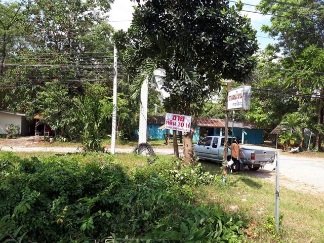 ขายที่ดินเหมาะสำหรับทำ ทำการเกษตร บ้านพักอาศํย  รีสอร์ท  ตำบลหนองธง  อำเภอป่าบอน  จังหวัดพัทลุง