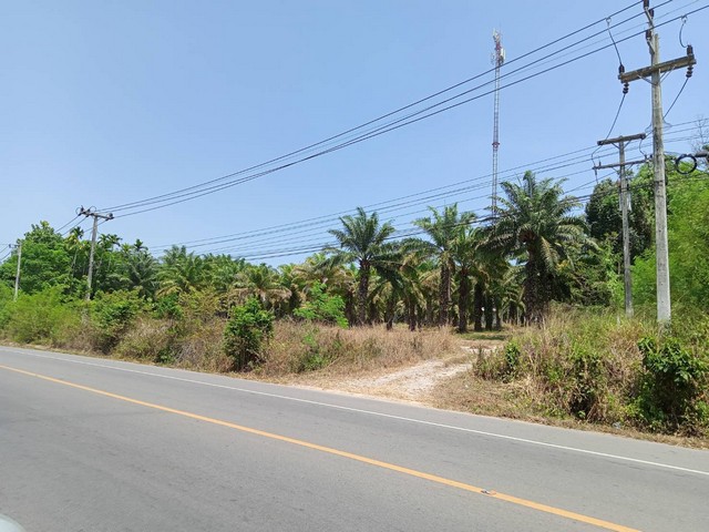 ขายที่ดินสวย 21.5ไร่ เจ้าของขายเอง ตำบลนาชะอัง อำเภอเมืองชุมพร จังหวัดชุมพร