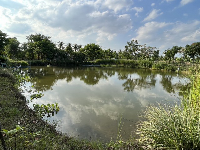 ให้เช่าที่ดิน เนื้อที่ 30 ไร่ ตำบลบางช้าง อำเภอสามพราน จังหวัดนครปฐม