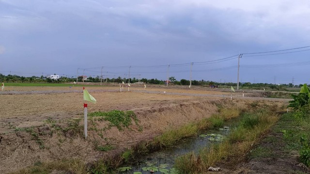 ขายที่ดินเงินผ่อน ผ่อนตรงกับเจ้าของโครงการ ซื้อเงินสดมีส่วนลดพิเศษให้อีก ตำบลขุนศรี อำเภอไทรน้อย นนทบุรี