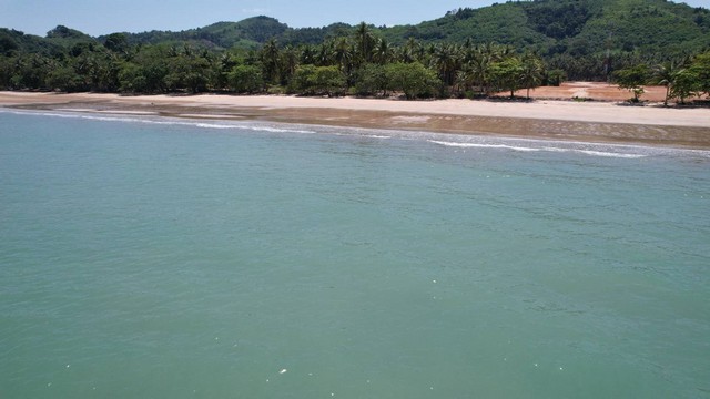ขายที่ดินแบ่งแปลง หาดทรายรีสวี ตำบลท่าหิน อำเภอสวี จังหวัดชุมพร