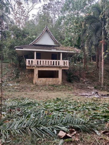 ขายที่ดินพร้อมรีสอร์ทเก่า สวย บนเนื้อที่กว่า 30 ไร่ อำเภอพนม สุราษฎร์ธานี