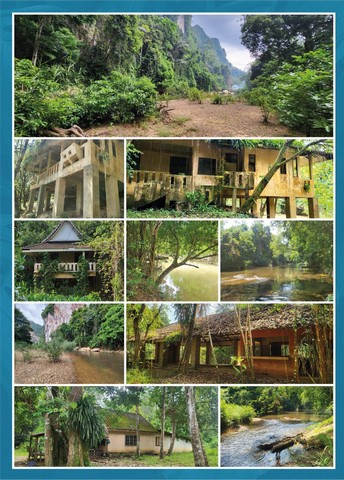 ขายที่ดินพร้อมรีสอร์ทเก่า สวย บนเนื้อที่กว่า 30 ไร่ อำเภอพนม สุราษฎร์ธานี