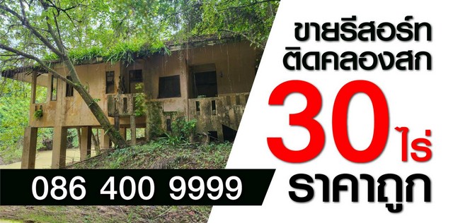ขายที่ดินพร้อมรีสอร์ทเก่า สวย บนเนื้อที่กว่า 30 ไร่ อำเภอพนม สุราษฎร์ธานี