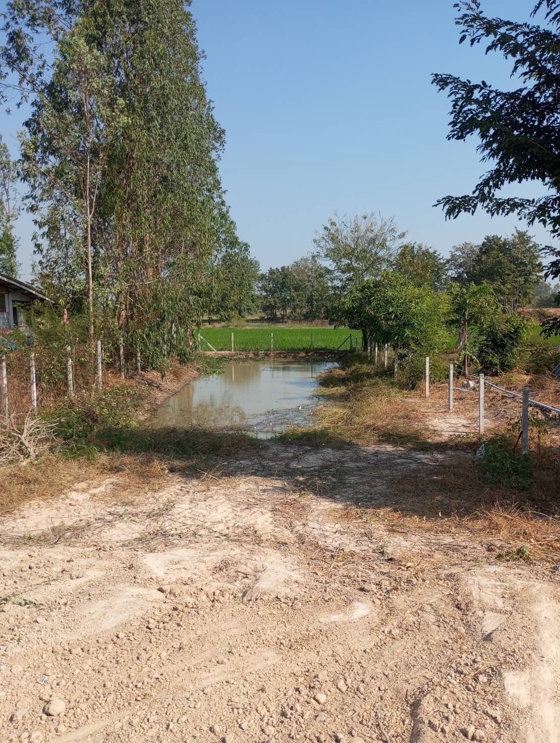 ขายที่ดิน 200 ตารางวา เจ้าของขายเอง สุพรรณบุรี