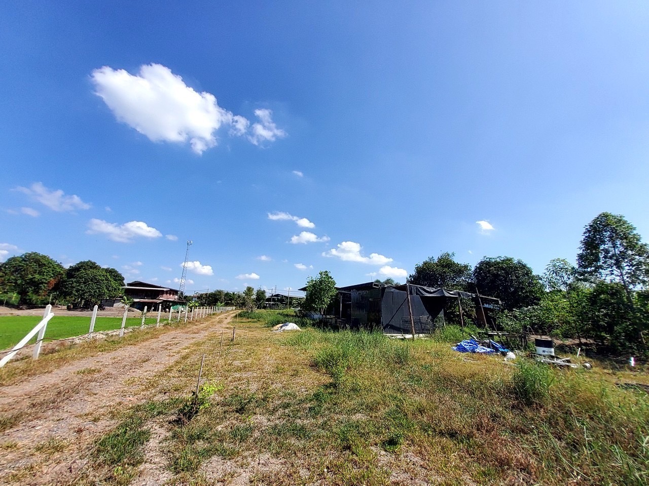 ขายด่วน ที่ดินสร้างบ้านสวน 2-3-31 ไร่ ถมไว้แล้วเกือบทั้งแปลง ซอย ซีพีแรม อ.ลาดหลุมแก้ว จ.ปทุมธานี