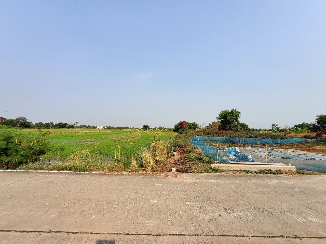 ขายด่วน ที่ดินบ้านปทุม 6 ไร่เศษ ติดถนนคอนกรีตสาธารณะ ซอยวัดบัวแก้ววราราม อ.สามโคก จ.ปทุมธานี