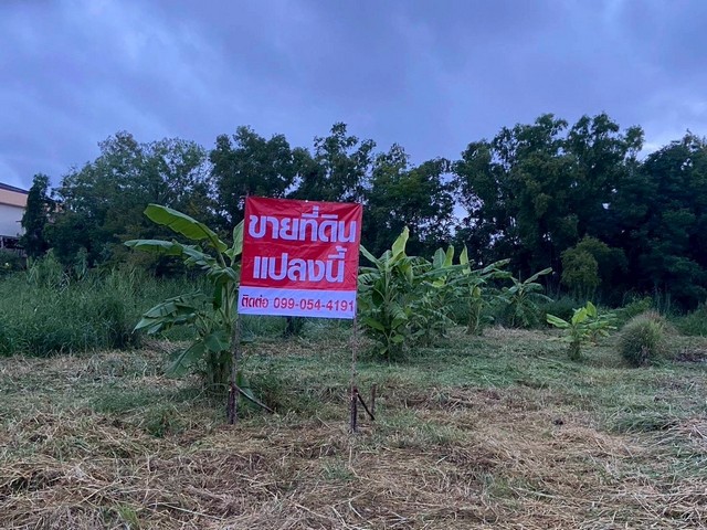ขายที่ดิน 200 ตารางวา เจ้าของขายเอง  ตำบลโสธร อำเภอเมืองฉะเชิงเทรา  ฉะเชิงเทรา