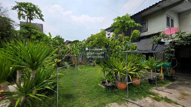 ขายที่ดินพร้อมสิ่งปลูกสร้างสุขุมวิท 68 – อุดมสุข ทำเลหายาก  กรุงเทพมหานคร