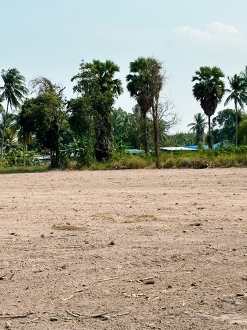 ขายที่ดิน เจ้าของขายเอง  5 ไร่ 87 ตารางวา ตำบลเขากระปุก อำเภอท่ายาง จังหวัดเพชรบุรี   ที่ตั้ง : ตำบลเขากระปุก อำเภอท่ายาง จังหวัดเพชรบุรี 76310 https://maps.app.goo.