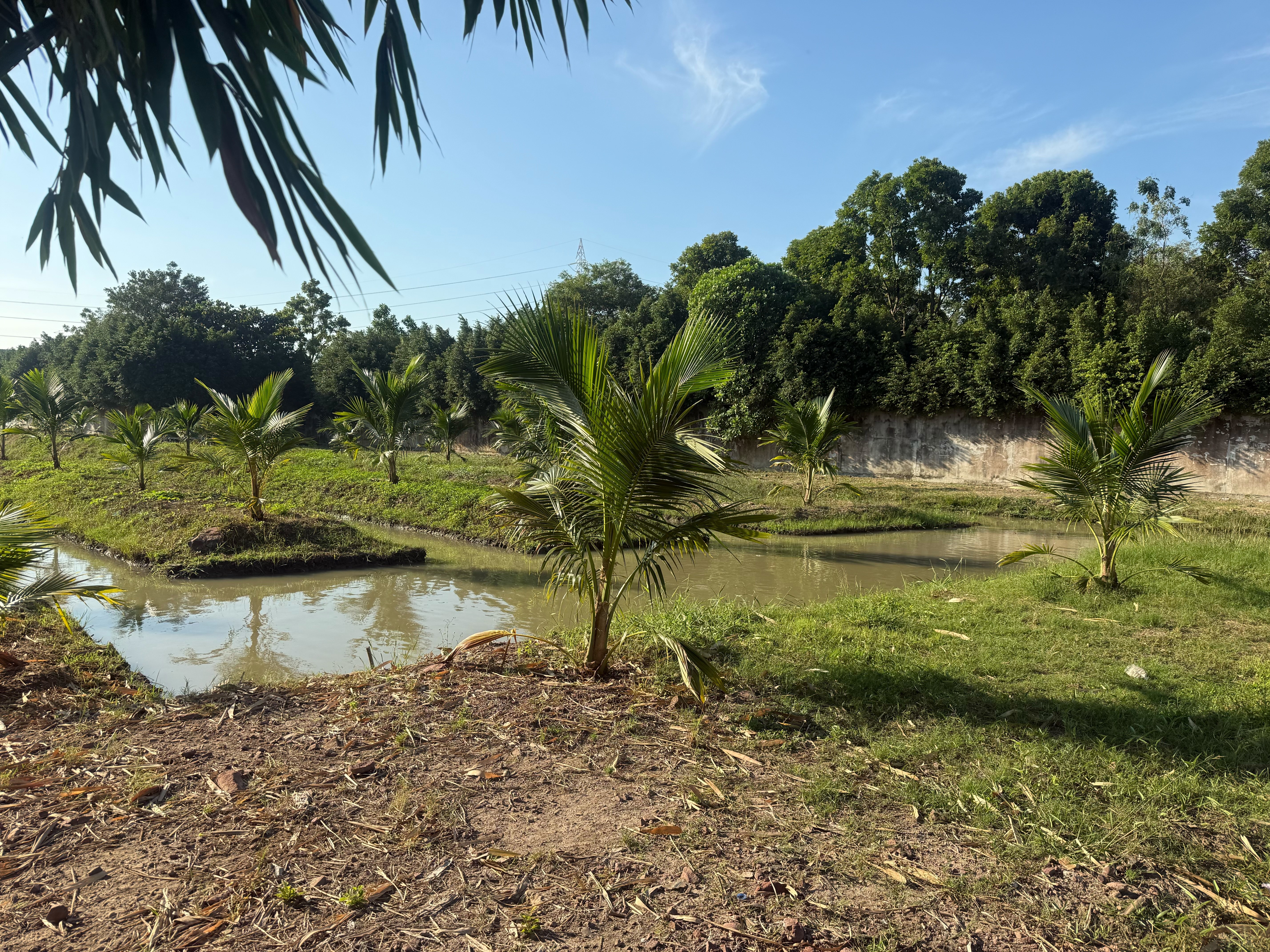 ขายที่ดินสำหรับสร้างบ้านอยู่อาศัย โกดัง หรือเพื่อการลงทุน สมุทรสาคร
