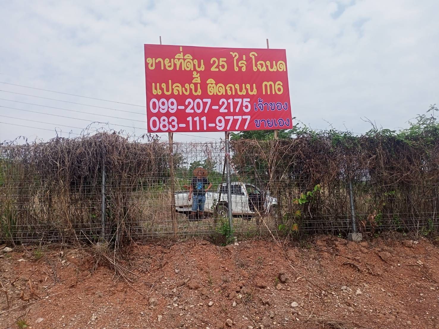 ขายที่ดินเปล่า 25 ไร่ หน้ากว่าง 300 เมตร ติดถนนมอเตอร์เวย์ M6 โคราช 