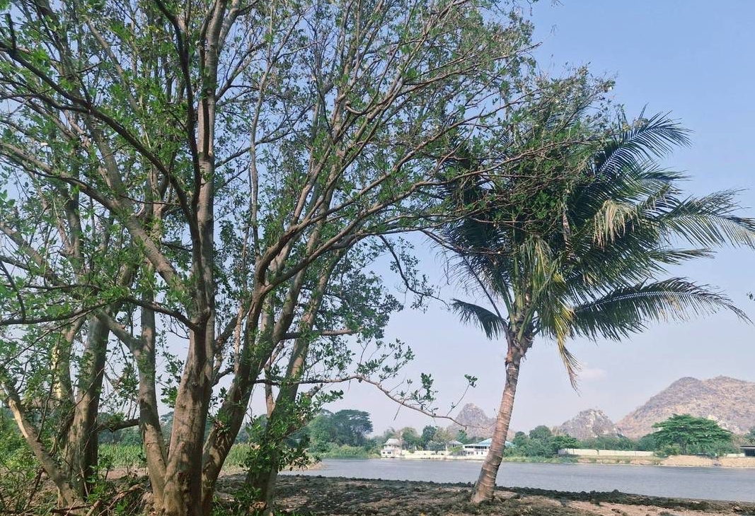ขายที่ดิน ริมน้ำในเมืองโอกาสแบบนี้ไม่ได้มีบ่อย — แปลงใหญ่ วิวภูเขา ติดแม่น้ำแควน้อย