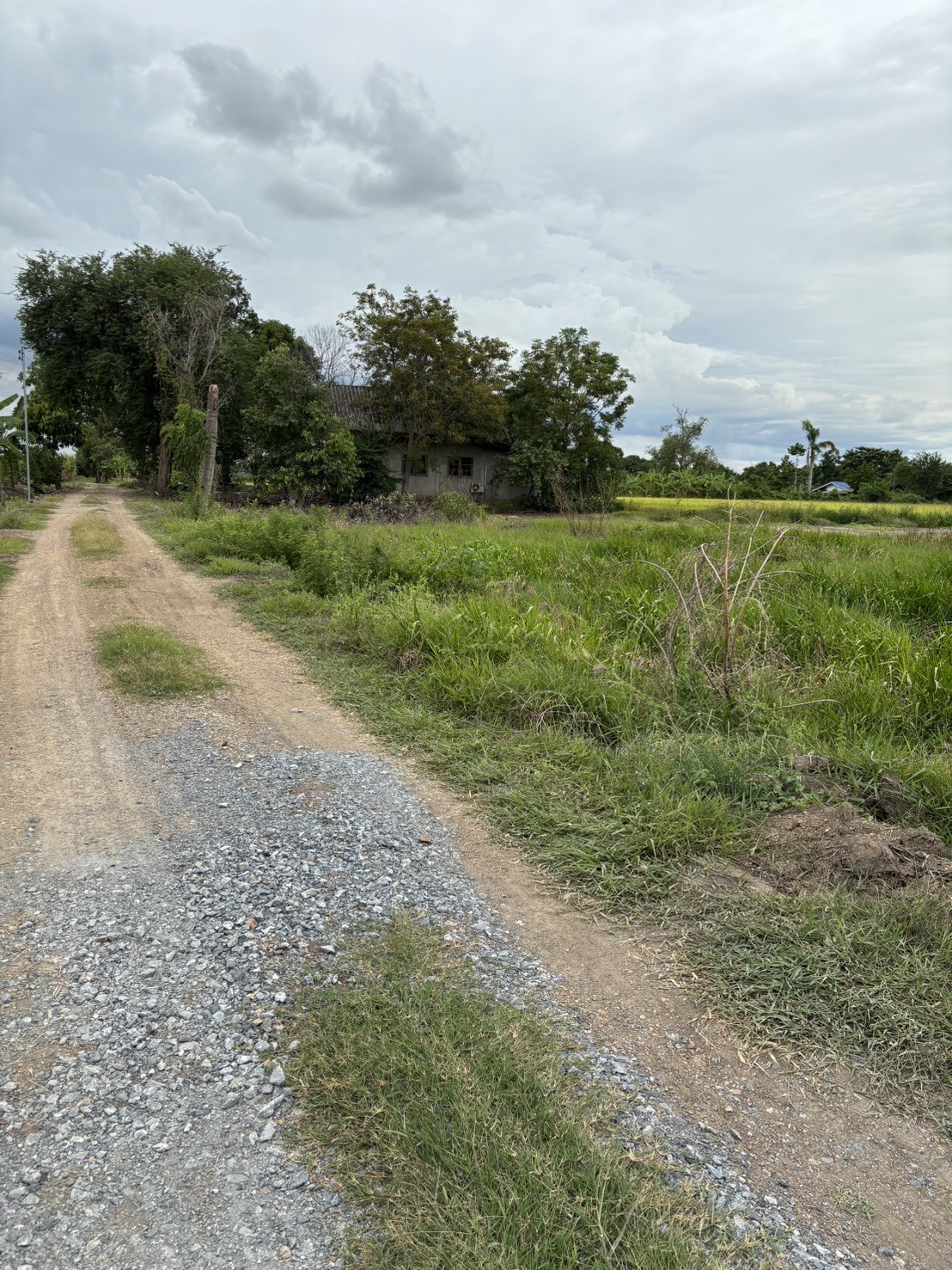 ขายที่ดินพร้อมบ้านพักตากอากาศ 2 งาน 2 ตร.ว. ทำเลทอง หนองน้ำแดง เขาใหญ่ นครราชสีมา