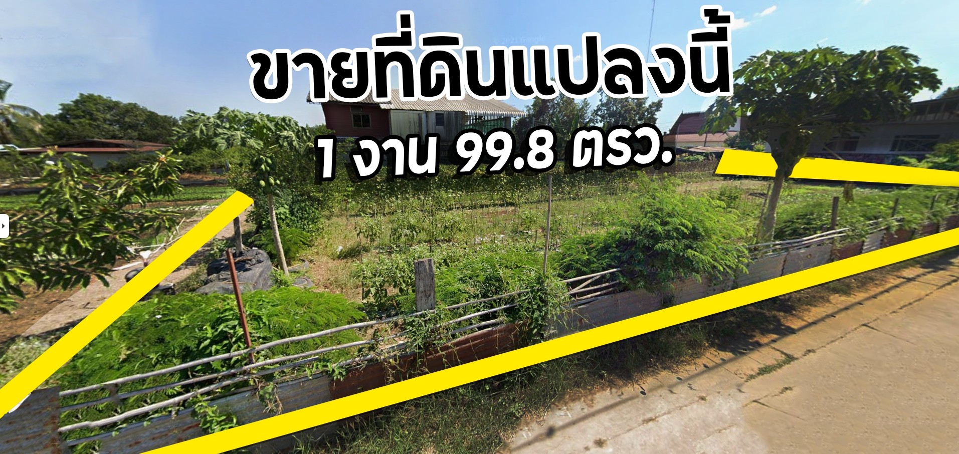 ขายที่ดิน 1 งาน 99.8 ตารางวา (เกือบ 2 งานเต็ม)  หนองคาย