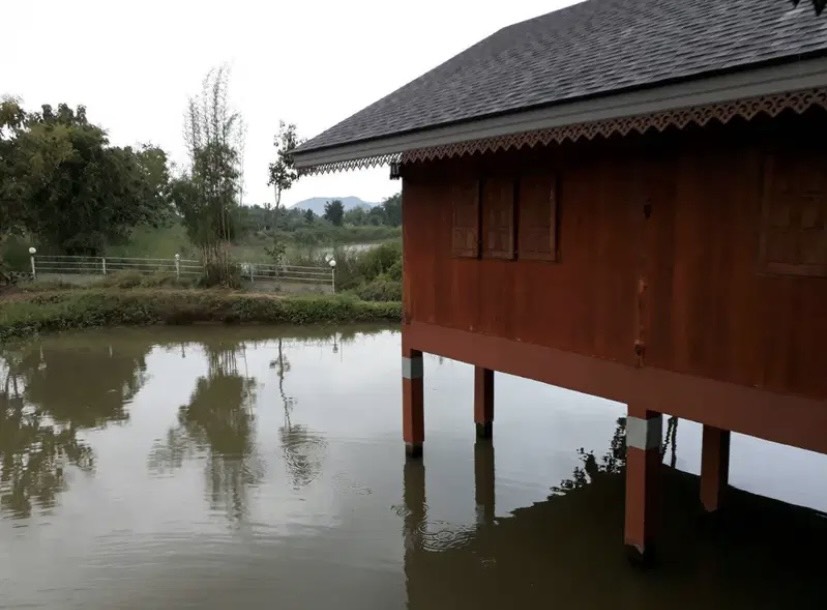 ขายที่ดินพร้อมบ้านและสวนลำไย 14 ไร่ ทำเลดีมาก อ.เมือง จ.ลำพุน