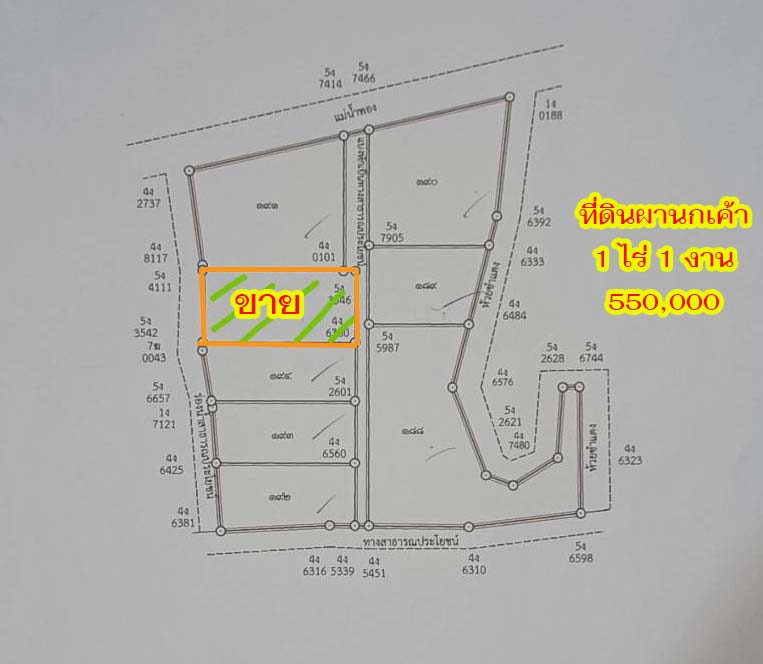 ขายที่ดินผานกเค้า อำเภอภูกระดึง จังหวัดเลย