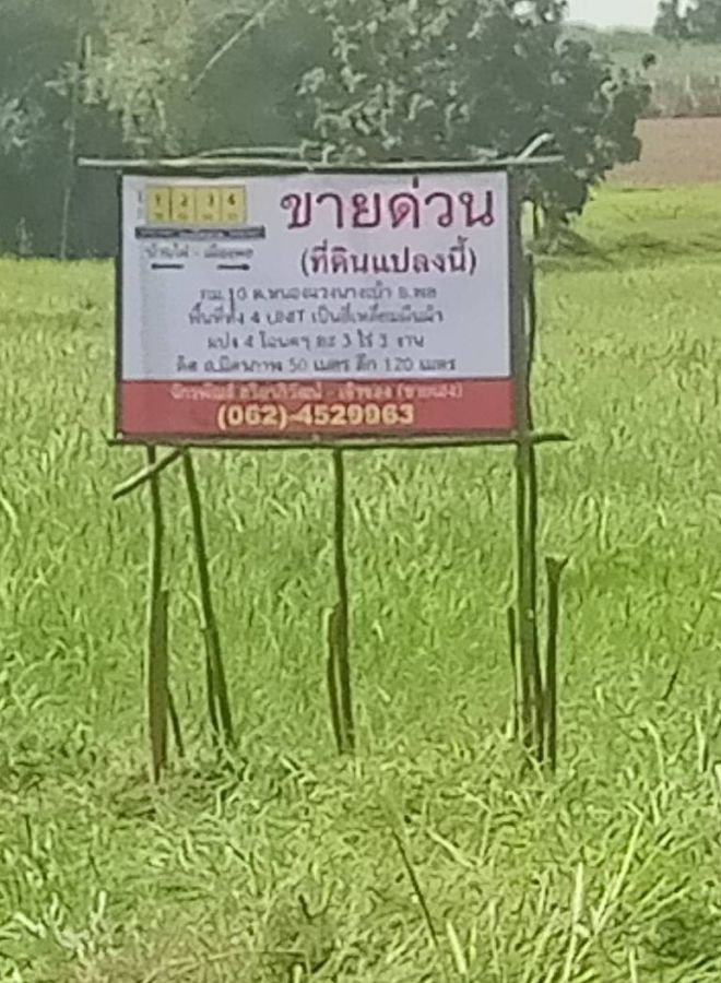 ขายทีดินหนองแวงนางเบ้า อำเภอพล จังหวัดขอนแก่น