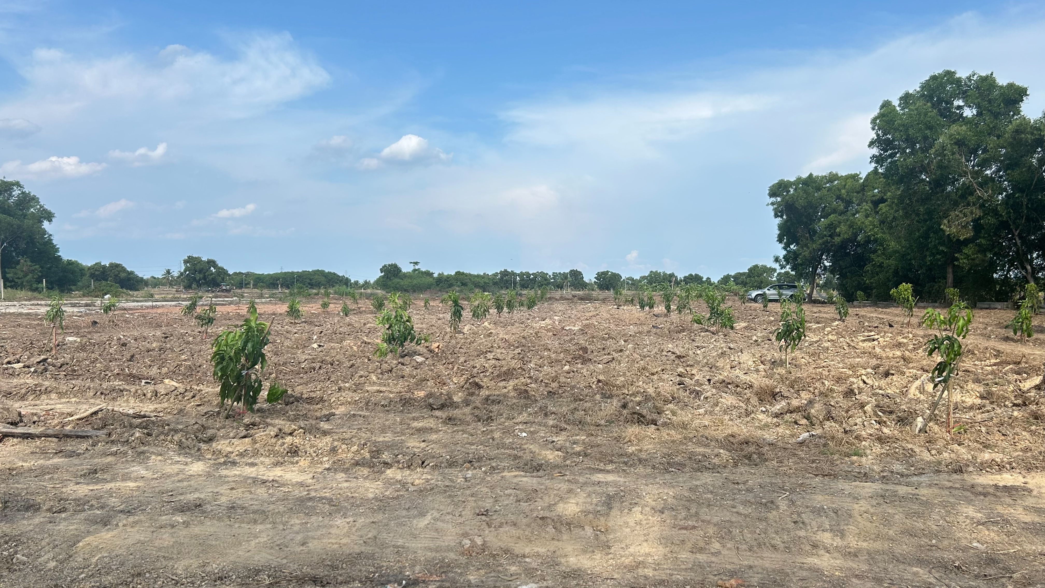 ขายที่ดินขนาด 4 ไร่ ใกล้สนามบินสุวรรณภูมิ  ตำบลคลองสวน อำเภอบางบ่อ จังหวัดสมุทรปราการ