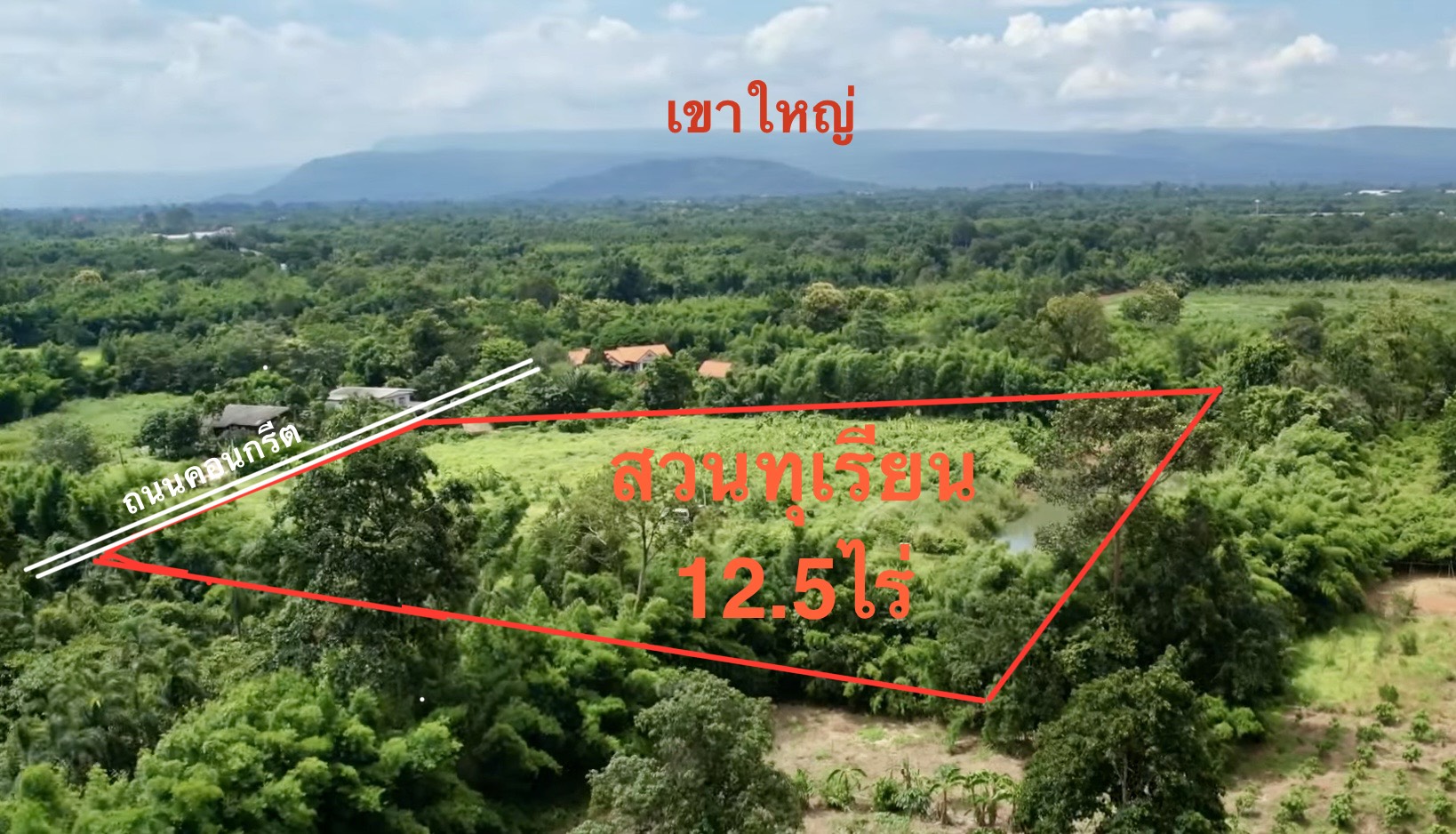 ขายสวนทุเรียน  12.5 ไร่  ตำบลโนนห้อม อำเภอเมือง จังหวัดปราจีนบุรี